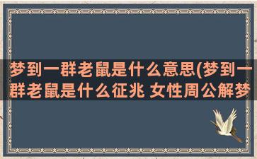 梦到一群老鼠是什么意思(梦到一群老鼠是什么征兆 女性周公解梦)